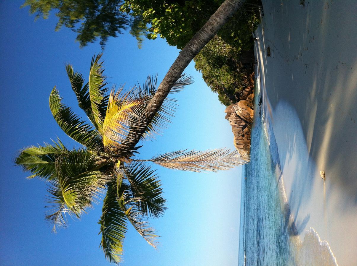 Villas Du Voyageur Grand Anse  Exterior photo