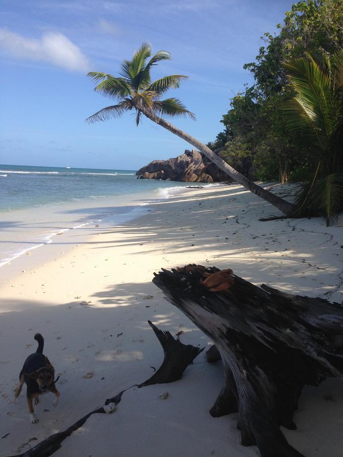Villas Du Voyageur Grand Anse  Exterior photo